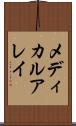 メディカルアレイ Scroll