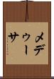 メデゥーサ Scroll