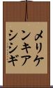 メリケンキアシシギ Scroll