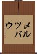 メルツバウ Scroll