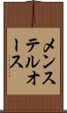 メンステルオース Scroll
