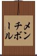 メンチ・ボール Scroll