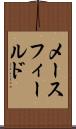 メースフィールド Scroll