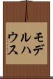 モデルハウス Scroll