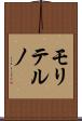 モリテルノ Scroll