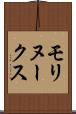 モリヌークス Scroll