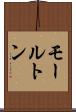 モールトン Scroll