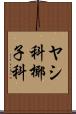 ヤシ科 Scroll