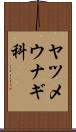 ヤツメウナギ科 Scroll