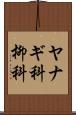 ヤナギ科 Scroll