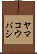 ヤマコウバシ Scroll