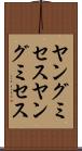 ヤングミセス Scroll