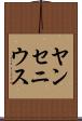 ヤンセニウス Scroll