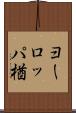 ヨーロッパ楢 Scroll