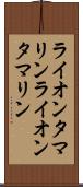 ライオンタマリン Scroll