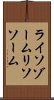ライソゾーム Scroll