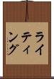 ライティング Scroll
