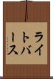 ライトバース Scroll