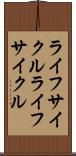 ライフサイクル Scroll