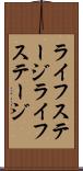 ライフステージ Scroll