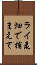 ライ麦畑で捕まえて Scroll