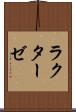 ラクターゼ Scroll