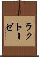 ラクトーゼ Scroll