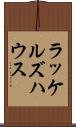 ラッケルズハウス Scroll