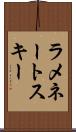 ラメネートスキー Scroll