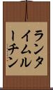 ランタイム・ルーチン Scroll