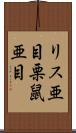 リス亜目 Scroll