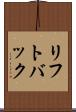 リフトバック Scroll