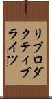 リプロダクティブライツ Scroll