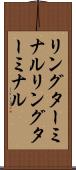 リングターミナル Scroll