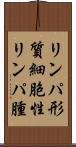 リンパ形質細胞性リンパ腫 Scroll