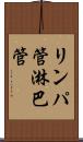 リンパ管 Scroll