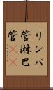 リンパ管 Scroll