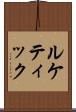 ルケティック Scroll