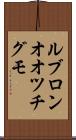 ルブロンオオツチグモ Scroll