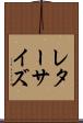 レター・サイズ Scroll