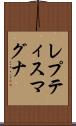 レプティス・マグナ Scroll