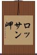 ロッサン岬 Scroll