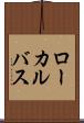 ローカルバス Scroll