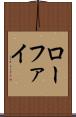 ローファイ Scroll