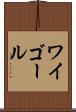 ワイゴール Scroll