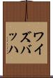 ワイズバッハ Scroll