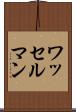 ワッセルマン Scroll