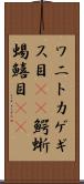 ワニトカゲギス目(rK) Scroll