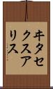 ヰタ・セクスアリス Scroll
