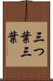 三つ葉 Scroll